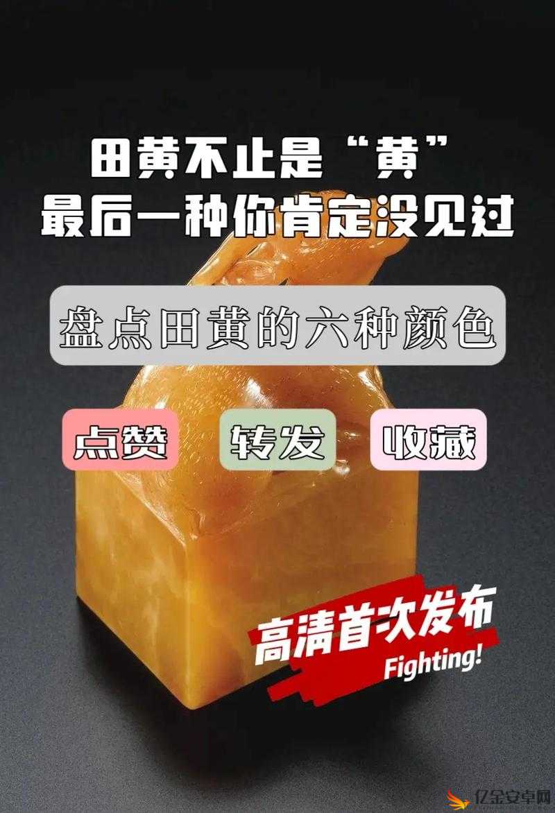 XXXXX 黄色：探索独特色彩背后的神秘魅力与文化内涵