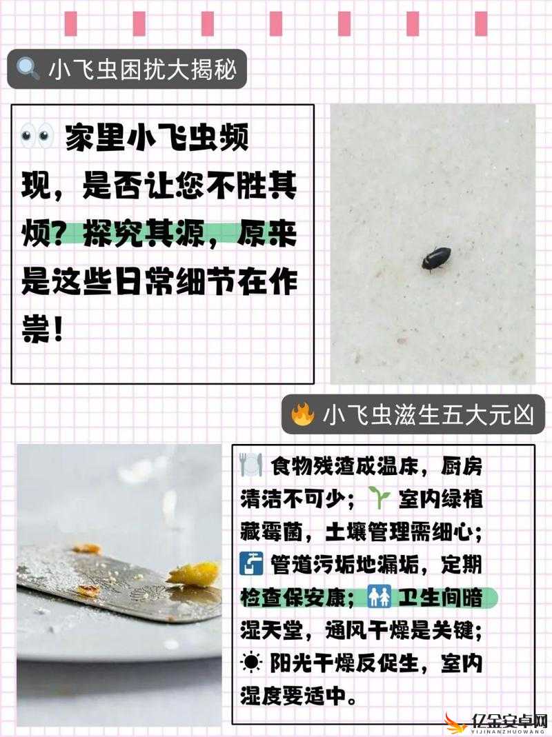 张叔：救救我里面有小虫子